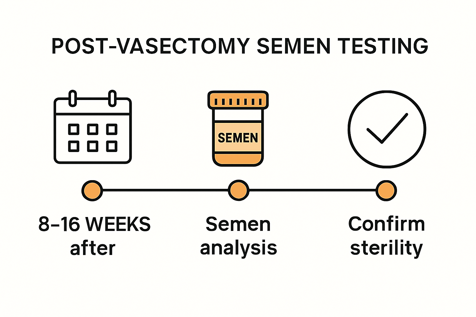 Infographic showing timeline and steps for post vasectomy semen test.