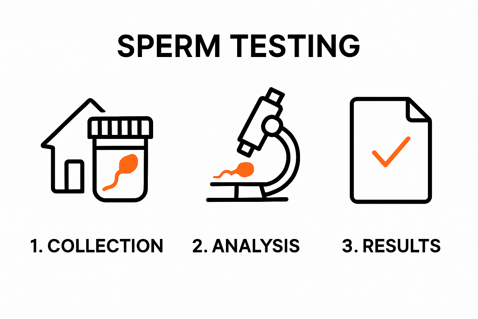 Laboratory sperm testing process visual guide
