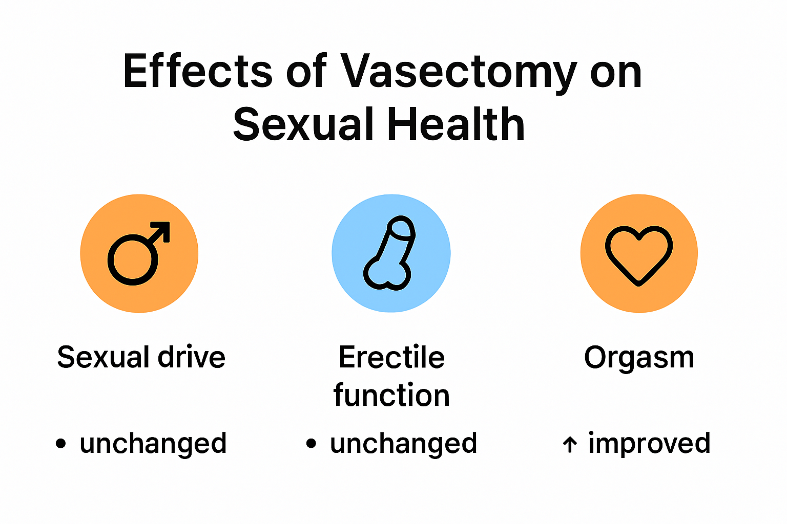 Infographic showing vasectomy's effects on male sexual health