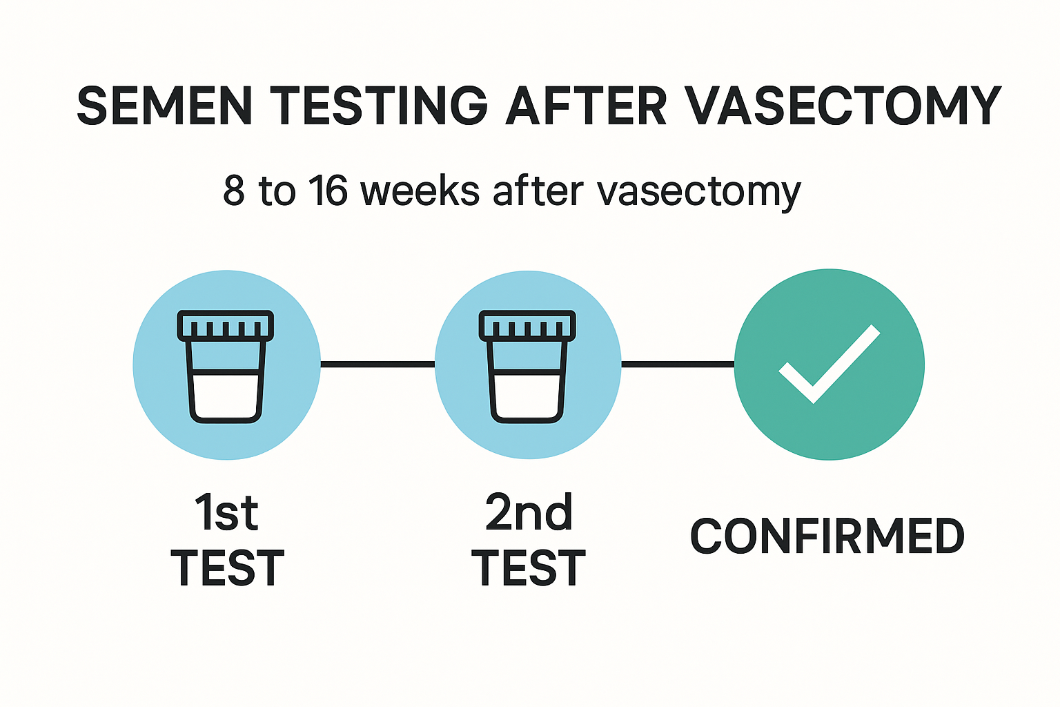 Infographic showing post-vasectomy semen testing timeline and steps