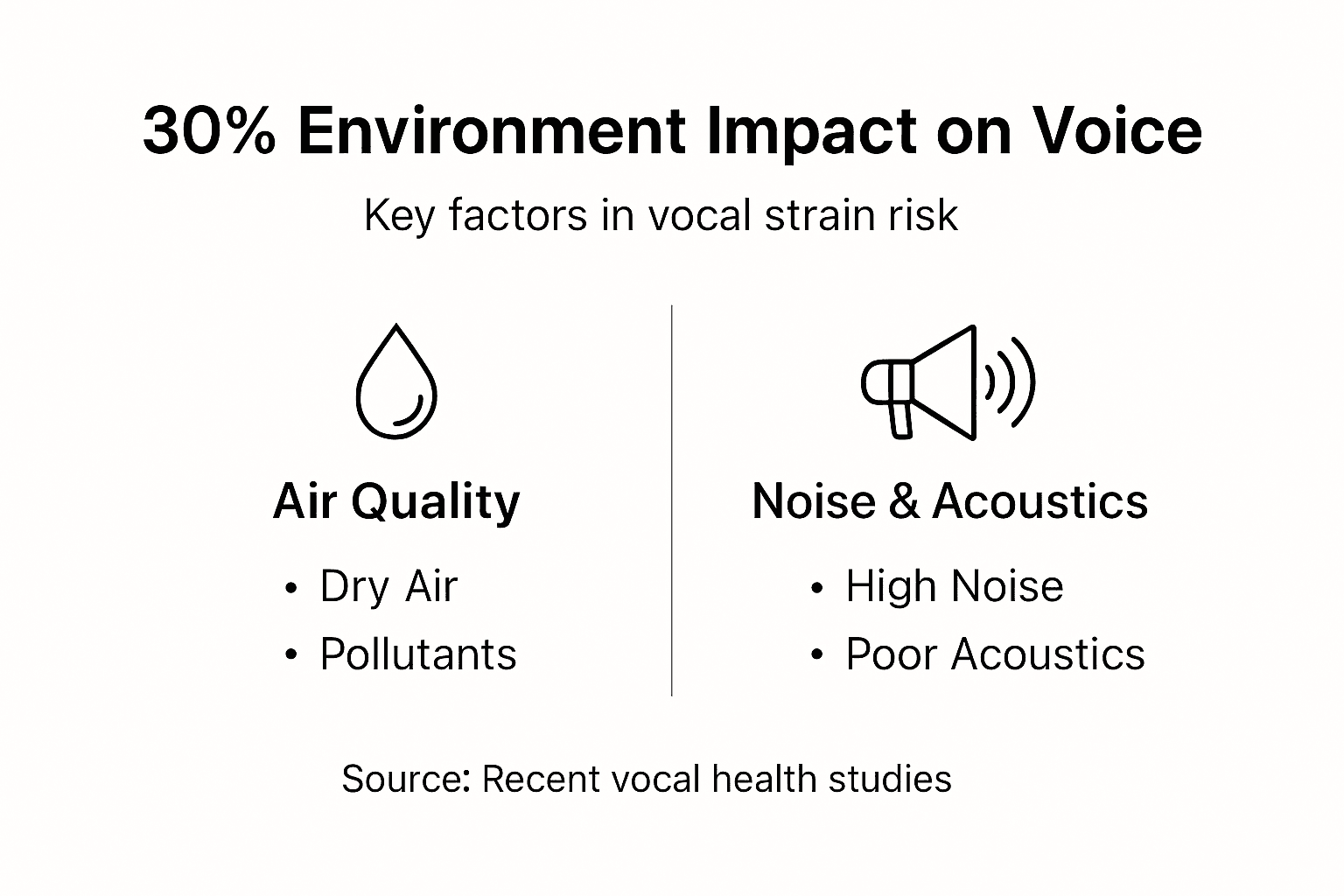 Infographic of main environmental voice factors