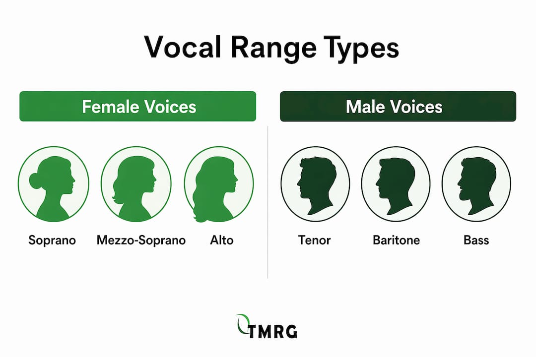 Infographic comparing female and male vocal range types