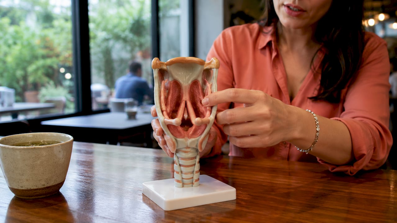 Hands demonstrating vocal fold anatomical model