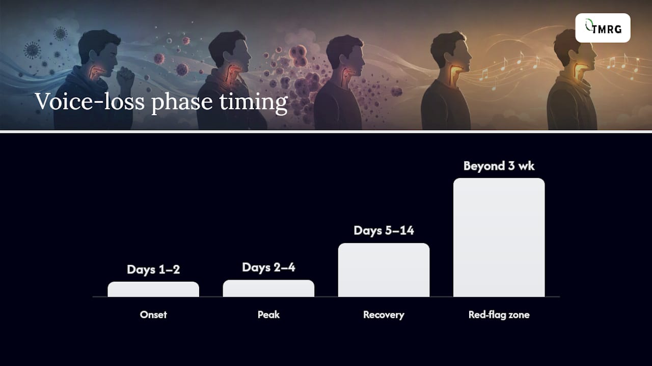 Phases of voice loss during cold timeline