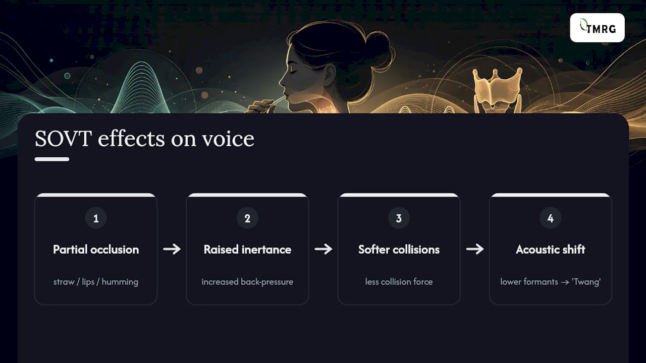 Diagram of semi-occluded vocal tract effects on voice