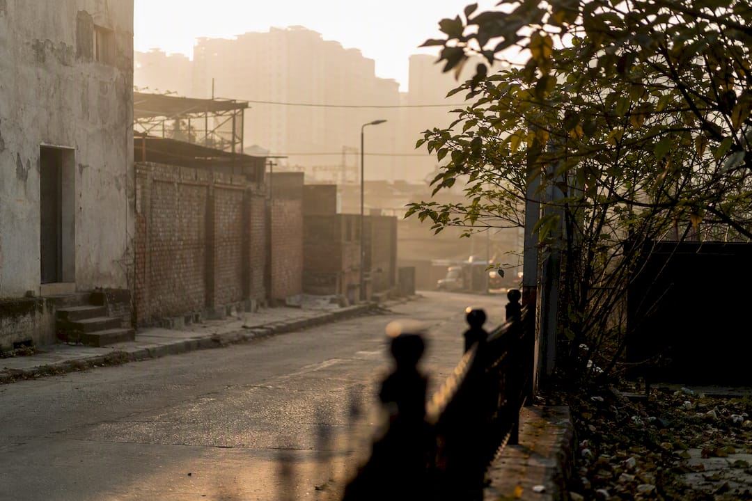 Hazy urban street with visible airborne pollen