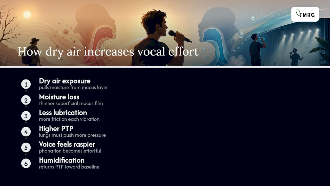 Why Dry Air Hurts the Voice: The Physiology Behind the Rasp — overview diagram