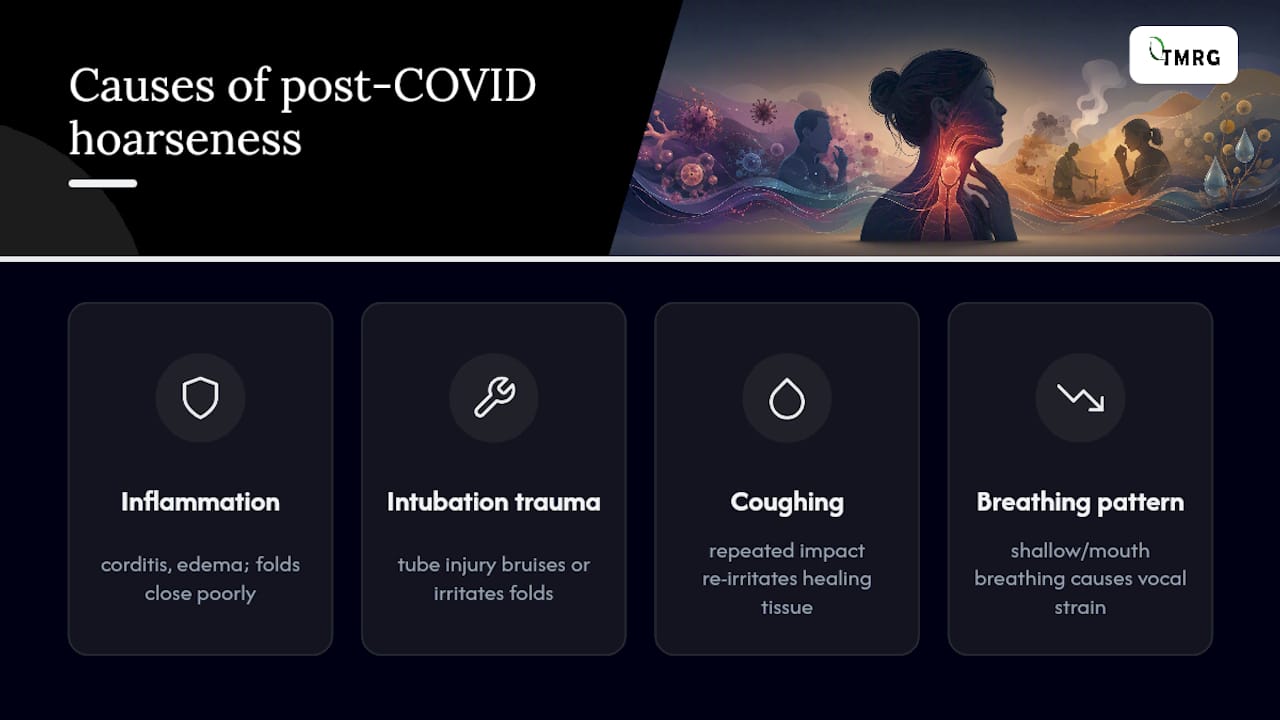 Why Does Hoarseness Persist After COVID-19? — overview diagram