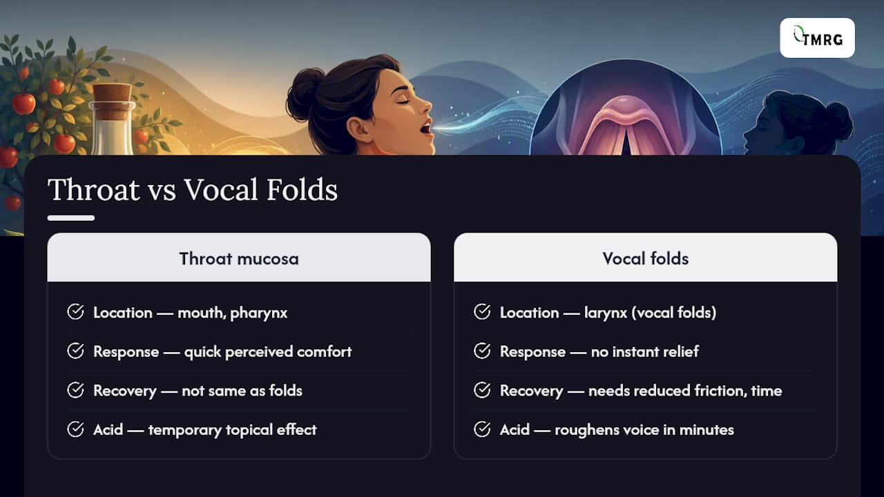 Throat mucosa and vocal folds comparison