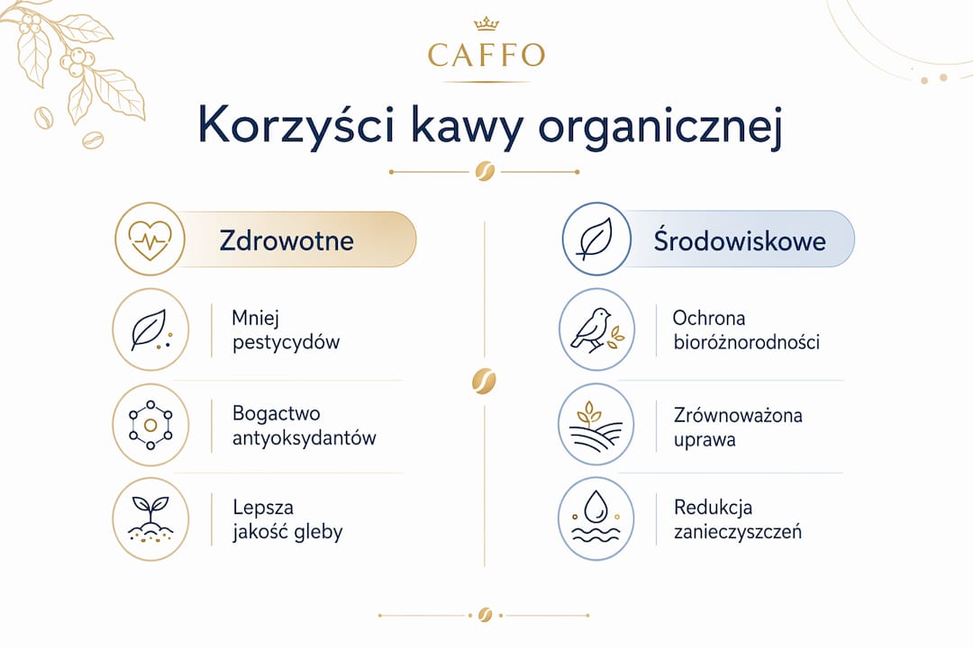 Infografika: Dlaczego warto wybierać kawę ekologiczną – zdrowie i troska o środowisko