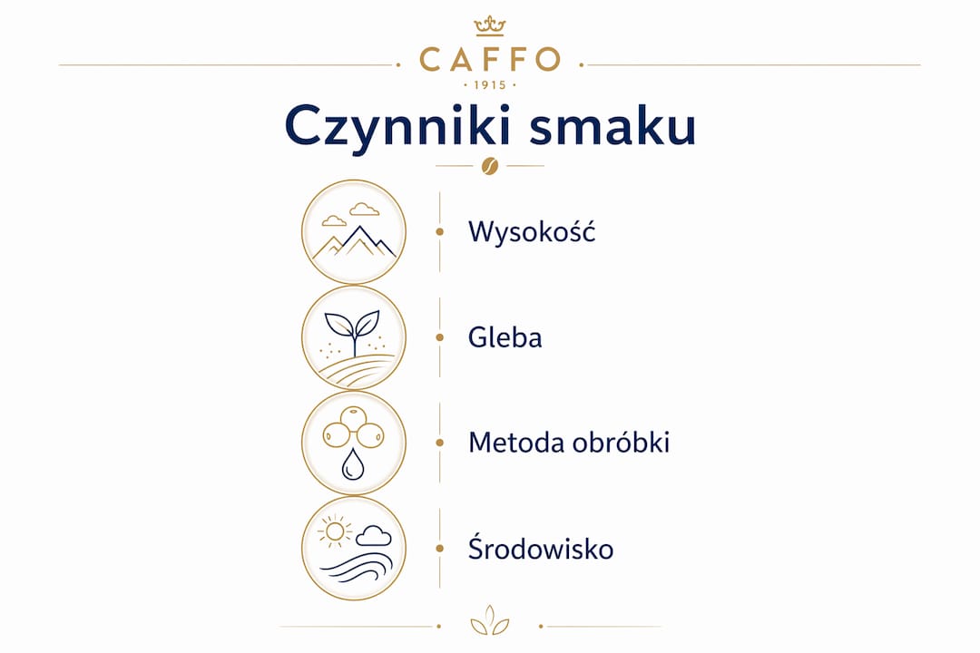 Grafika pokazująca, jakie czynniki wpływają na unikalny smak kawy pochodzącej z jednej plantacji.