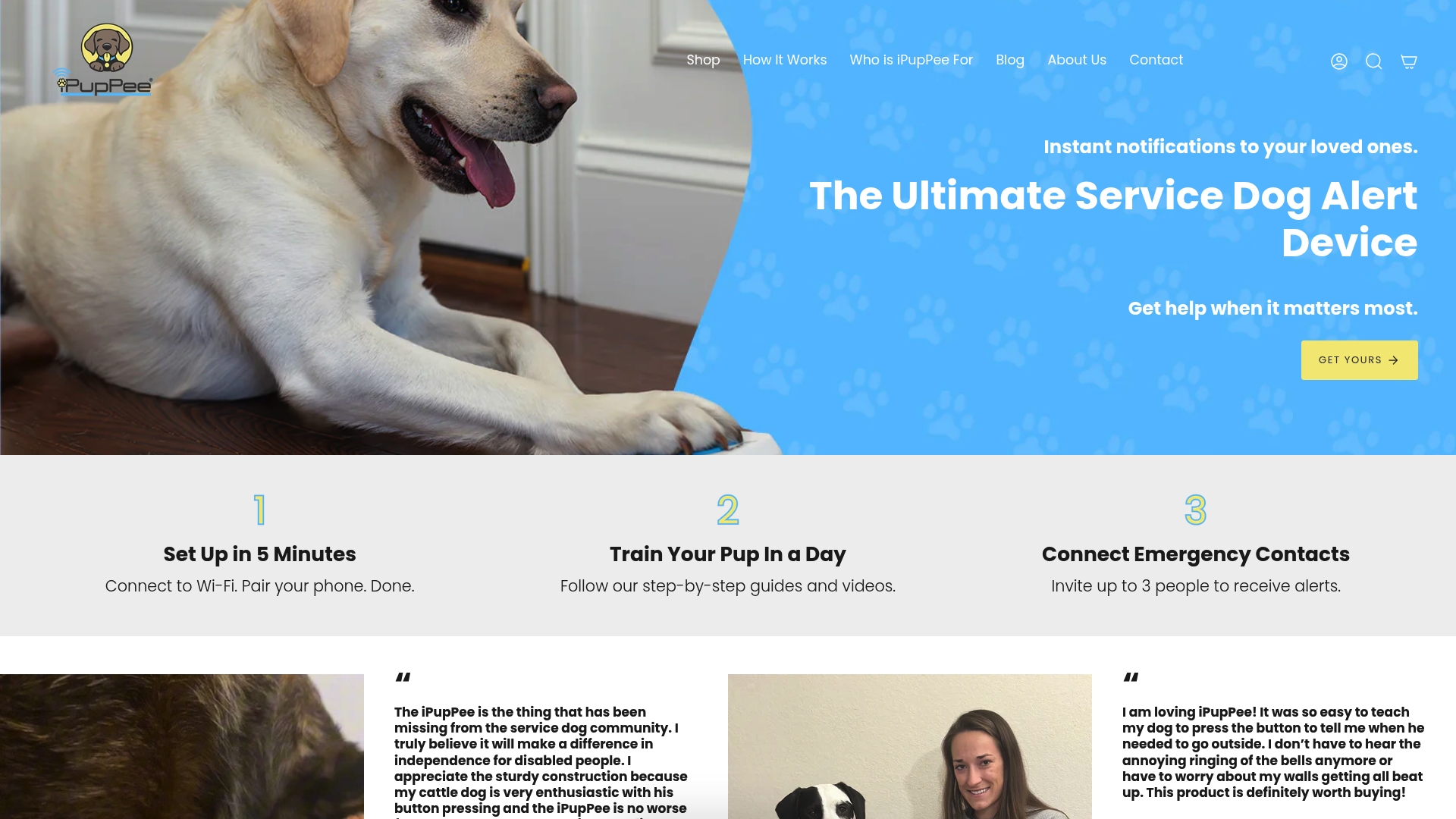 https://ipuppee.com