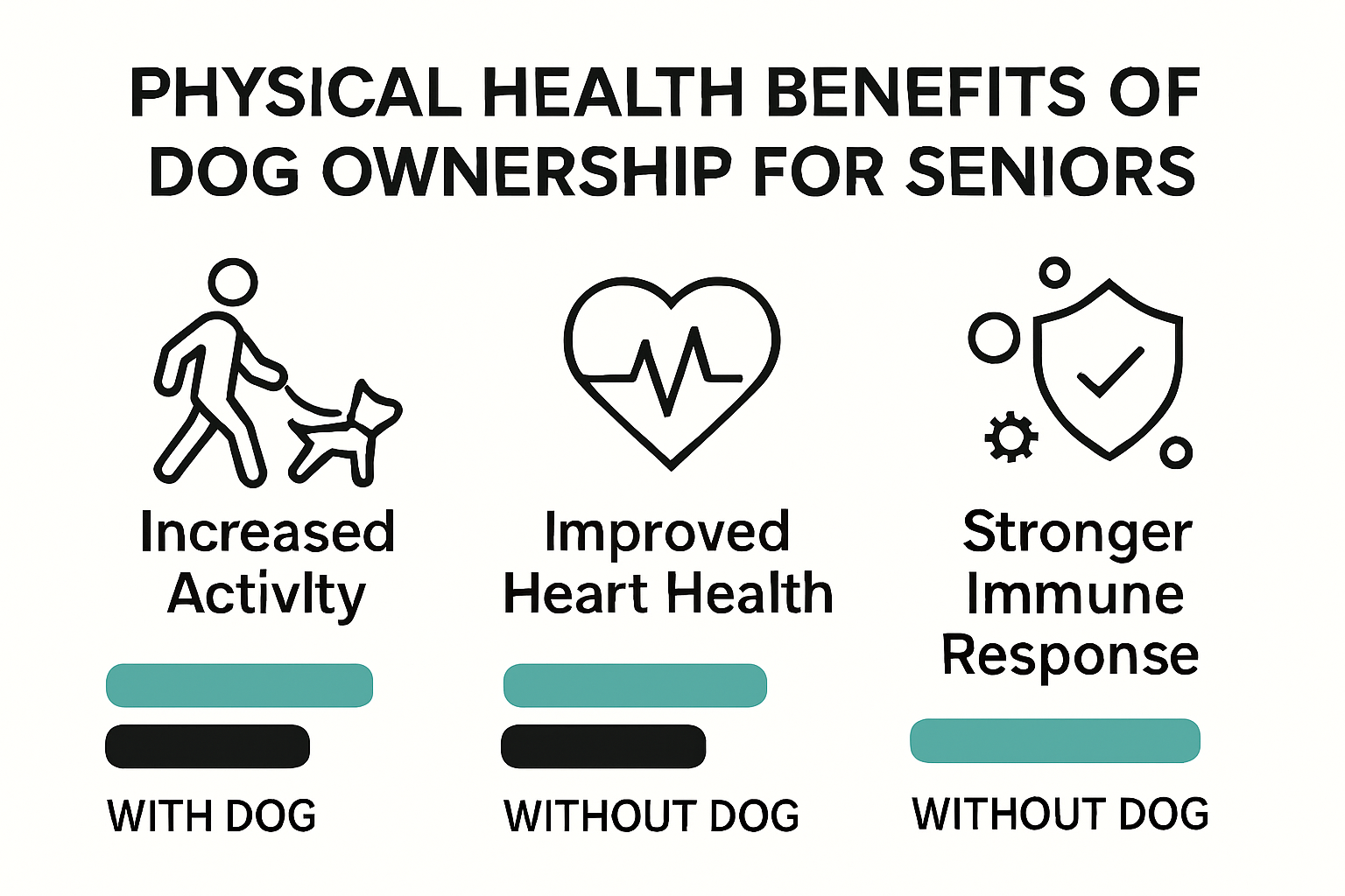 Infographic: physical health benefits of dogs for seniors