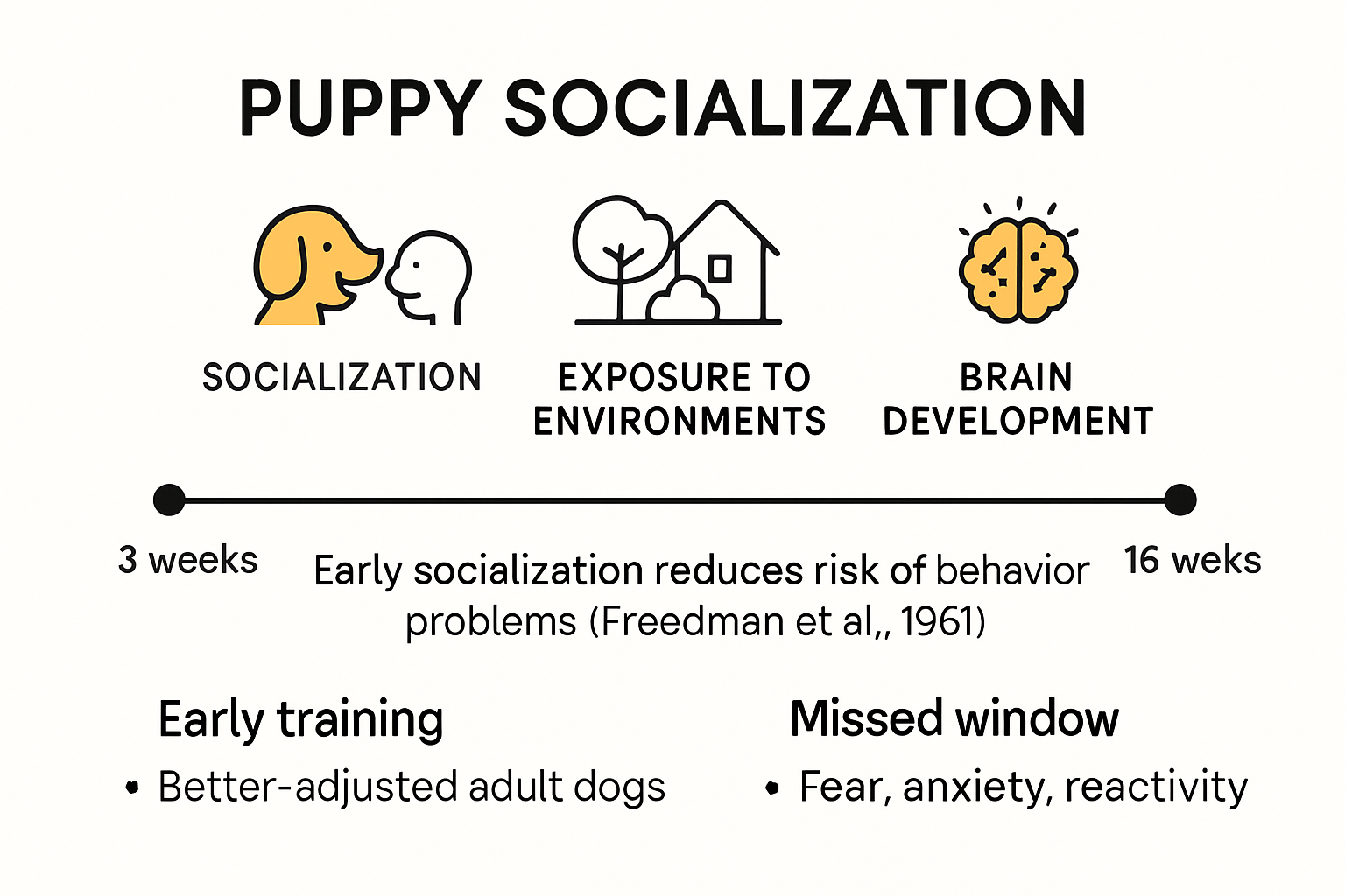 Puppy socialization and training window timeline