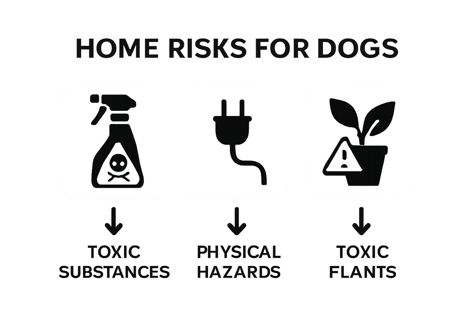 Infographic showing top three home hazards for dogs: toxic chemicals, choking hazards, dangerous plants