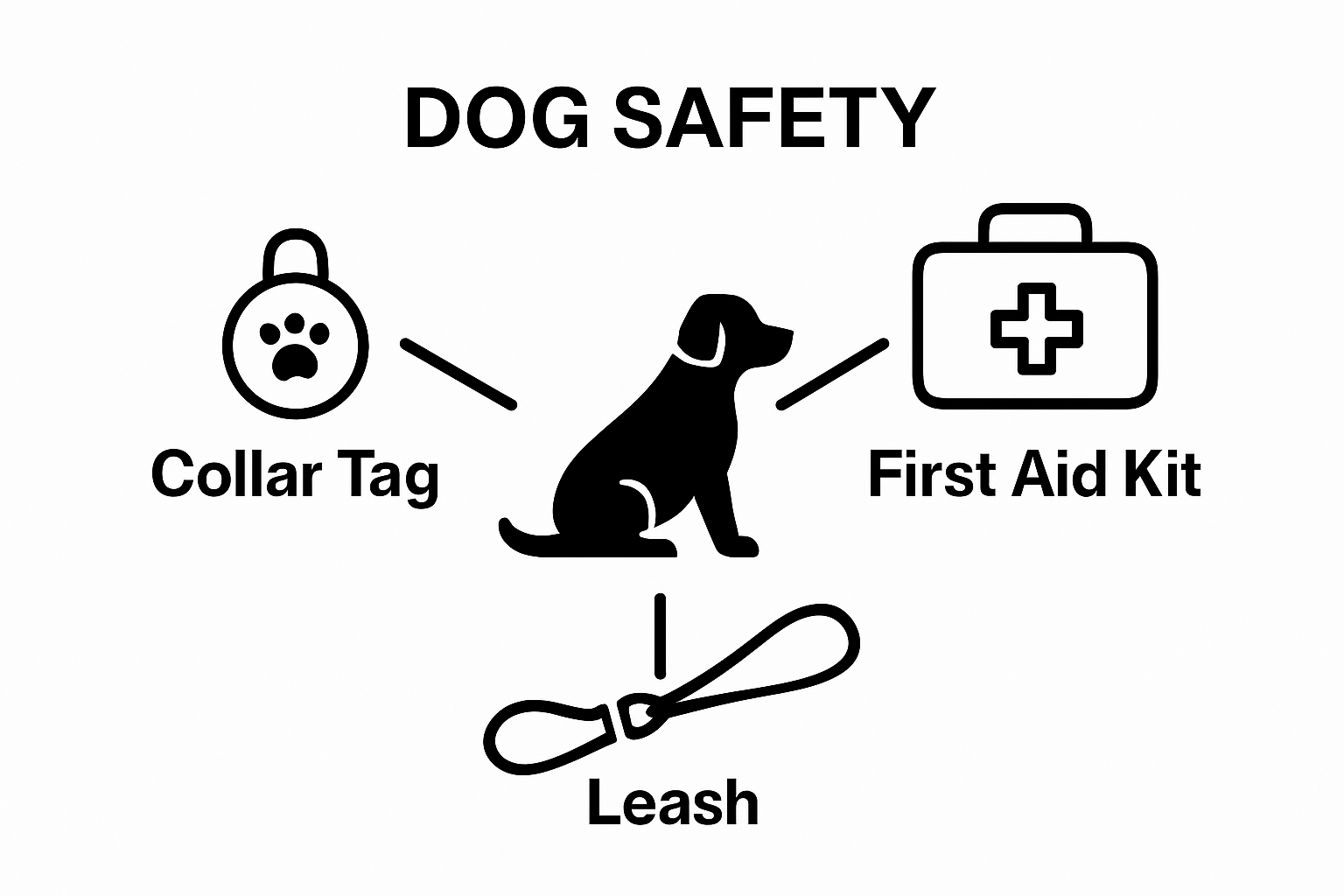 Icons representing tag, leash, and first aid kit connected to a dog