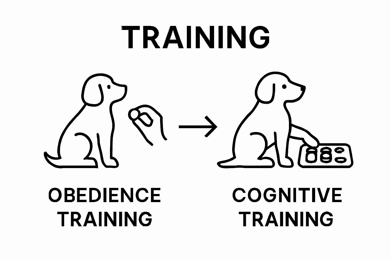 Infographic comparing obedience and cognitive training for dogs
