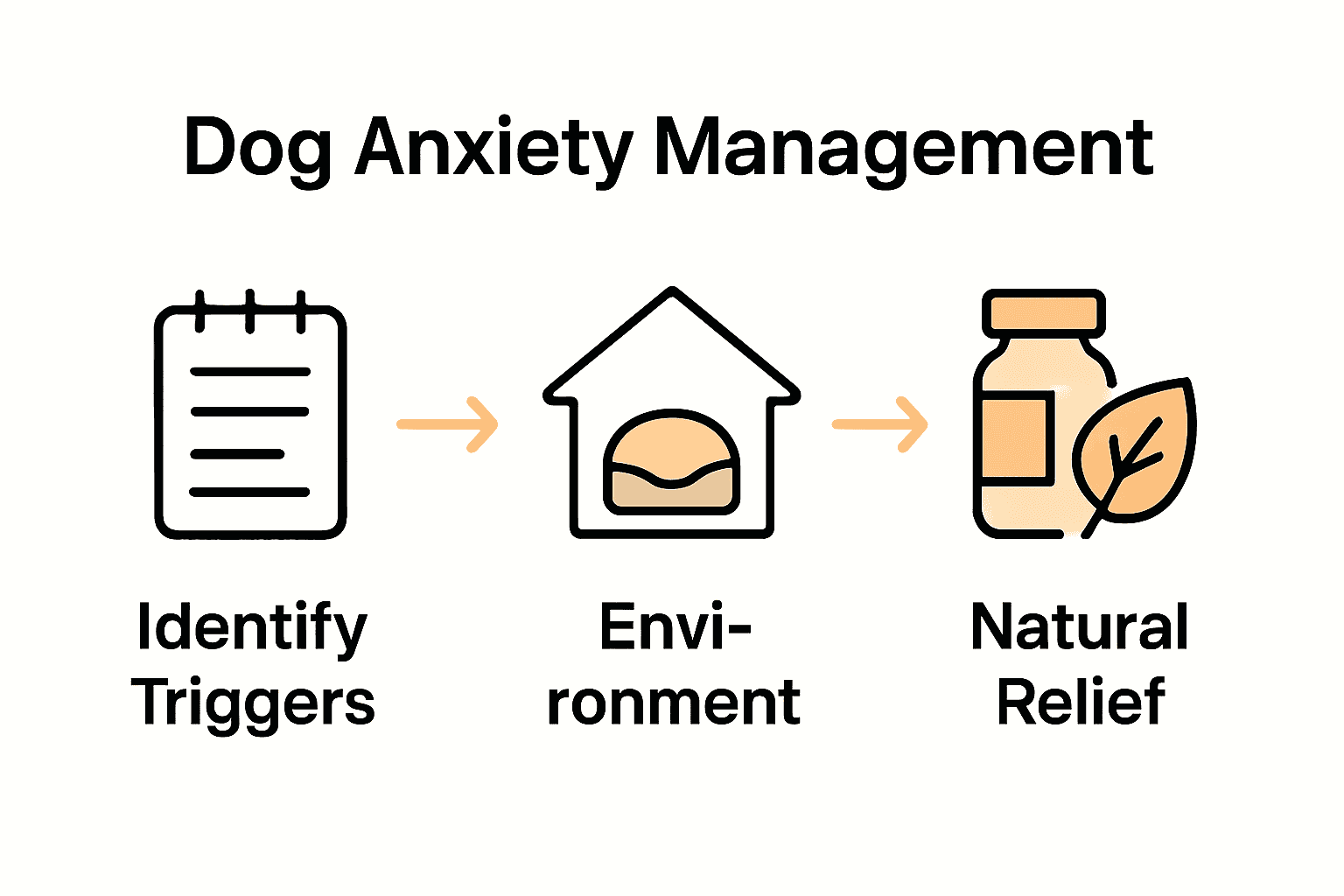Flowchart showing steps to manage dog anxiety naturally