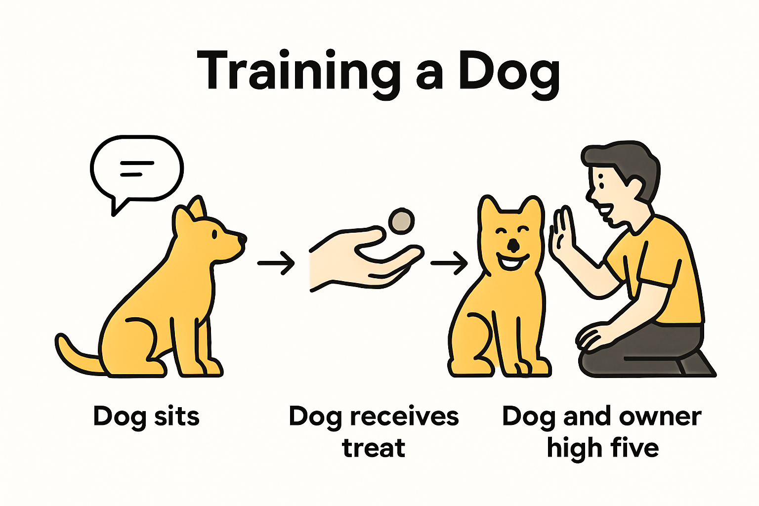 Dog training steps and rewards infographic