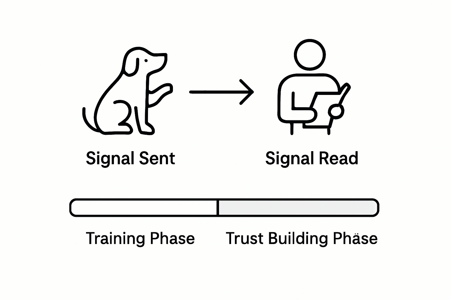 Infographic showing rescue dog signal training process