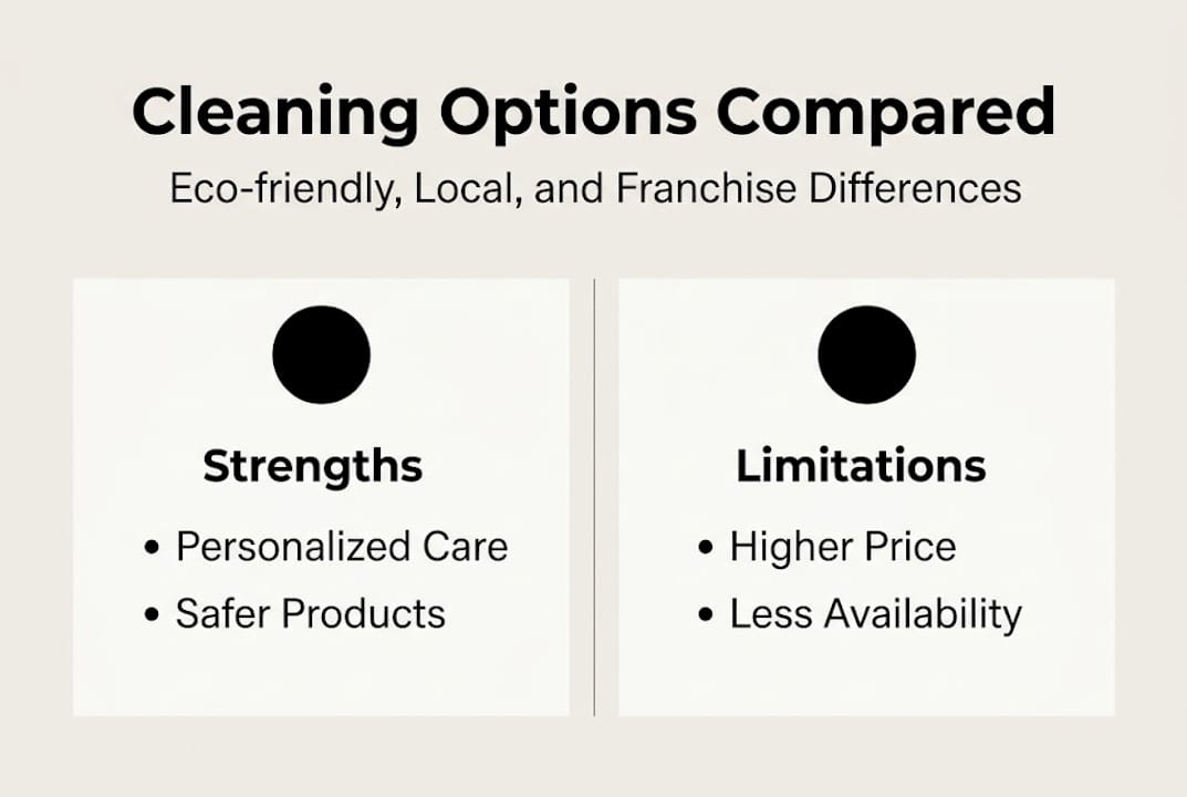Infographic comparing cleaning service options
