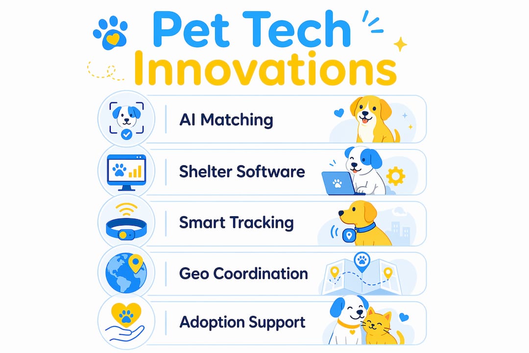 Infographic illustrating pet tech innovation steps
