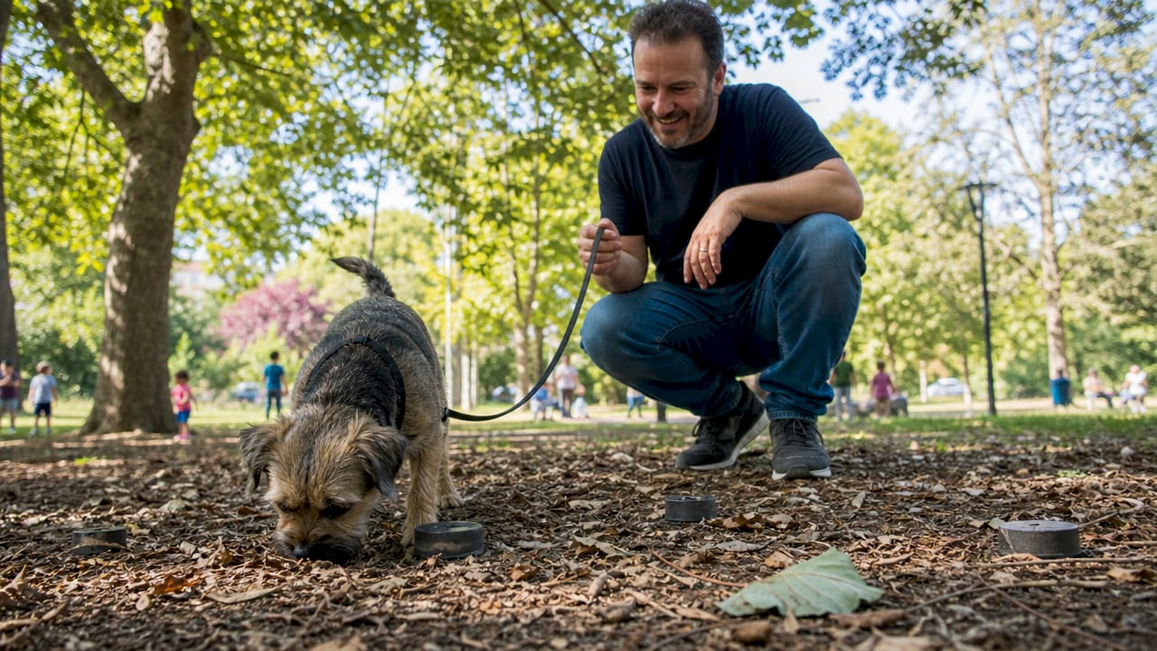 Dog and owner playing scent game in backyard