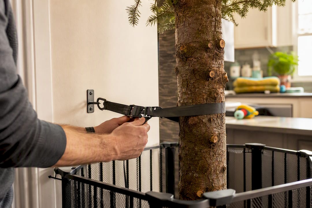 Hands attaching anchor strap to Christmas tree trunk