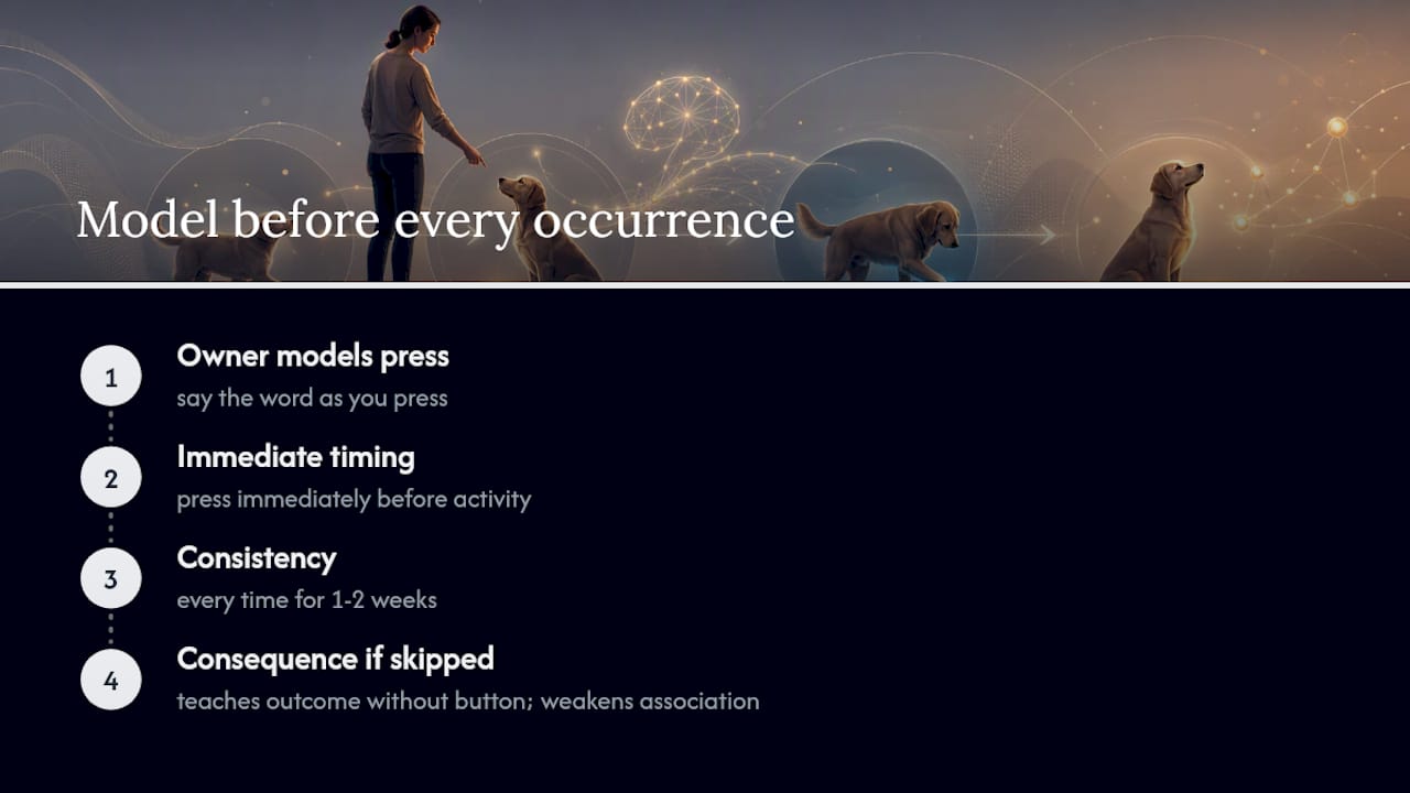 Diagram of dog button training steps