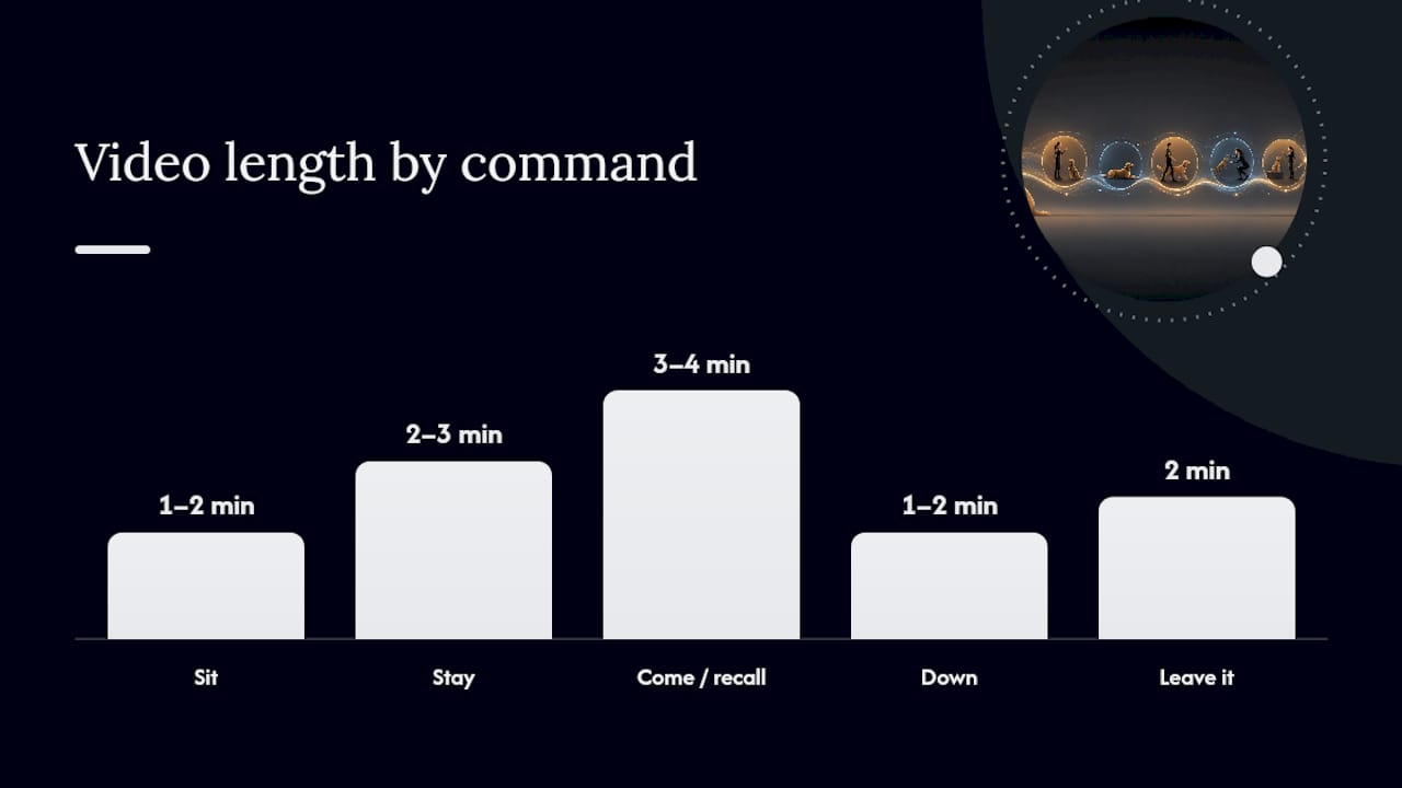 Comparison of obedience command video drills