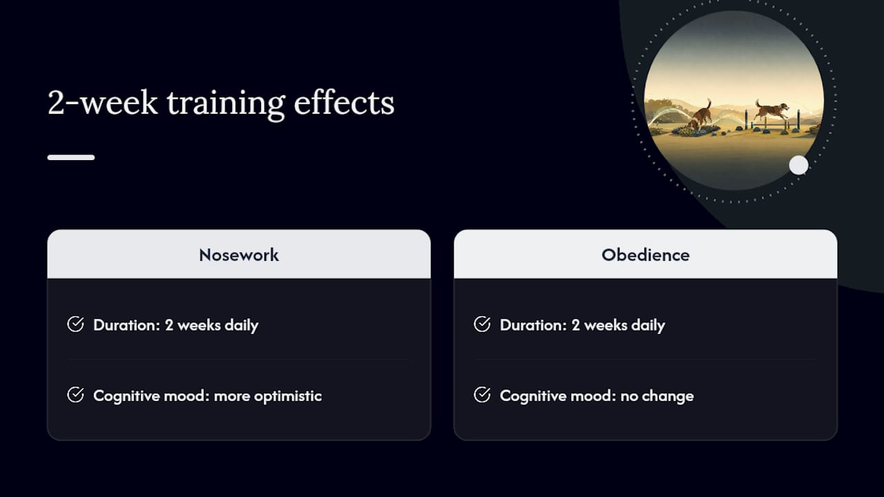 Nosework and obedience training comparison