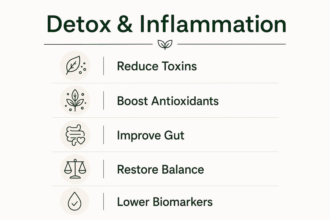 Infographic showing detox process steps reducing inflammation