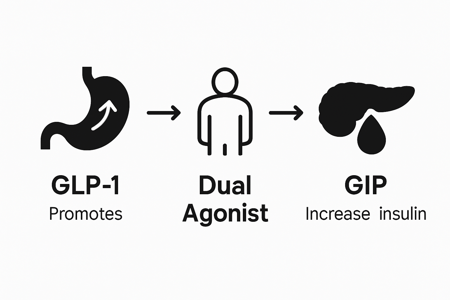 Comparison infographic: GLP-1, GIP, Dual Agonist