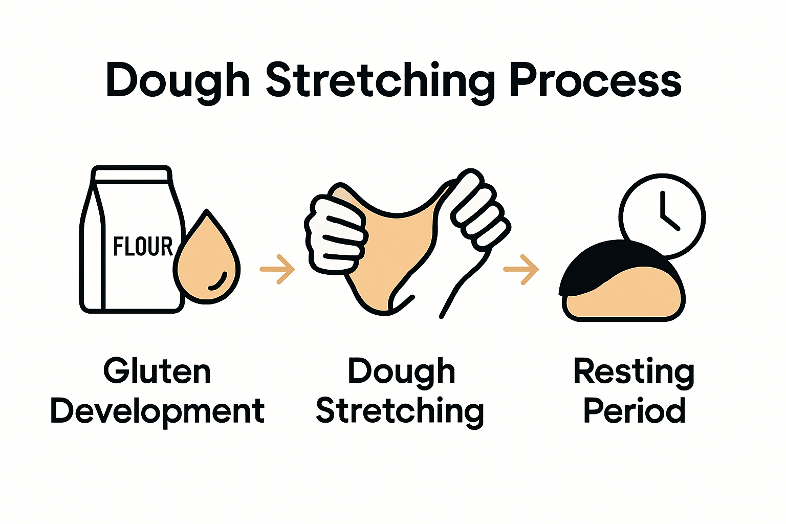 Infographic showing stages of dough elasticity