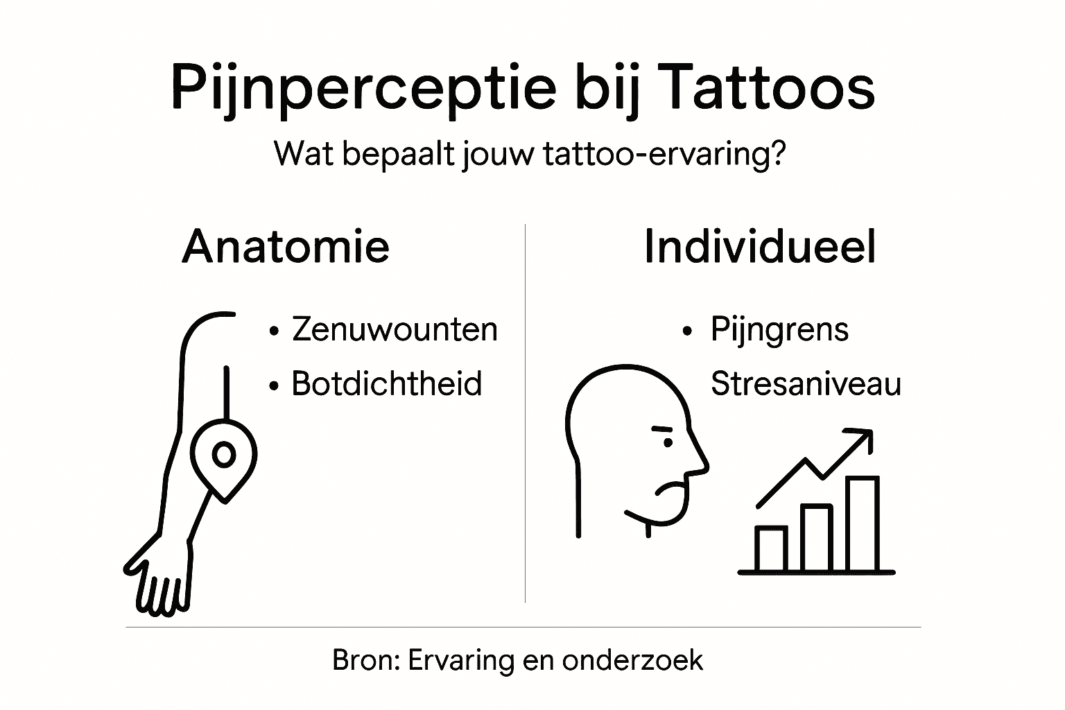 Infographic: hoe werkt pijn bij het zetten van een tatoeage? Een kijkje in de anatomie en de belangrijkste invloeden op pijnbeleving tijdens het tatoeëren.