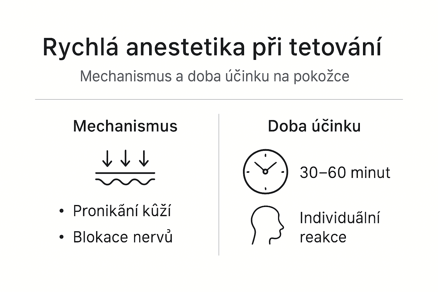 Infografika: Jak fungují anestetika při tetování a jak dlouho účinkují