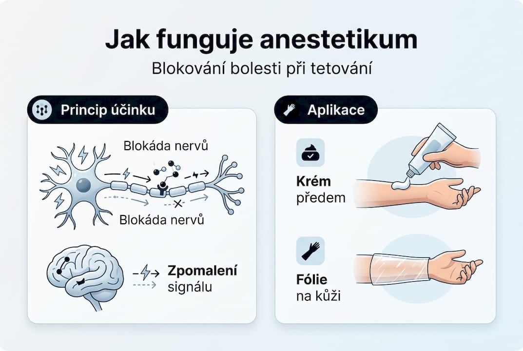 Infografika: Jak fungují anestetika při tetování