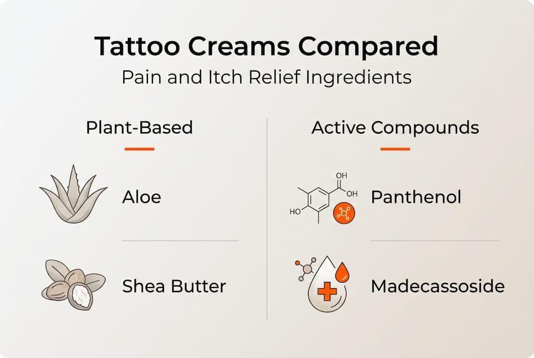 Infographic comparing tattoo cream ingredients