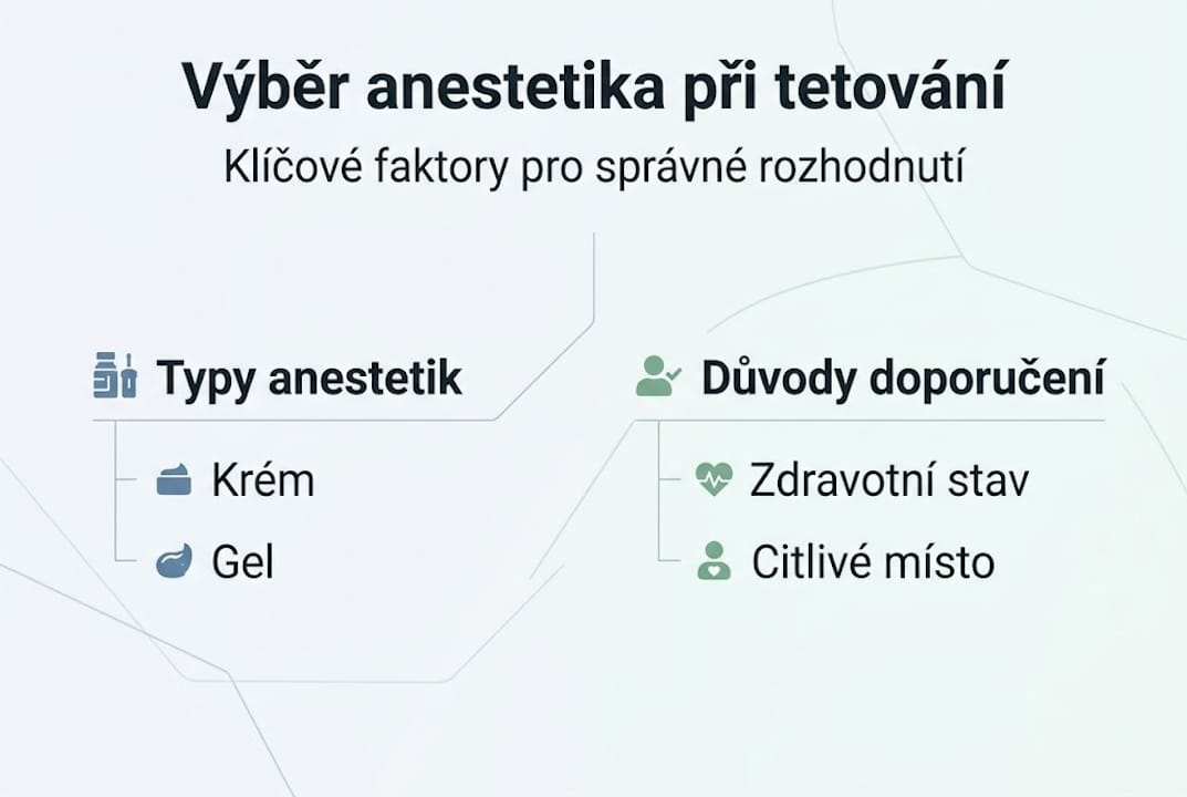 Infografika přehledně ukazuje, podle čeho vybírat vhodné anestetikum