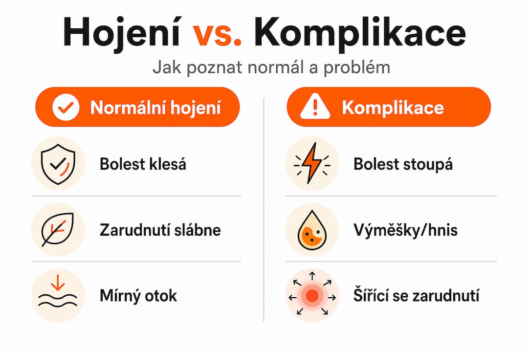 Infografika: Jak poznat běžné a problematické hojení tetování