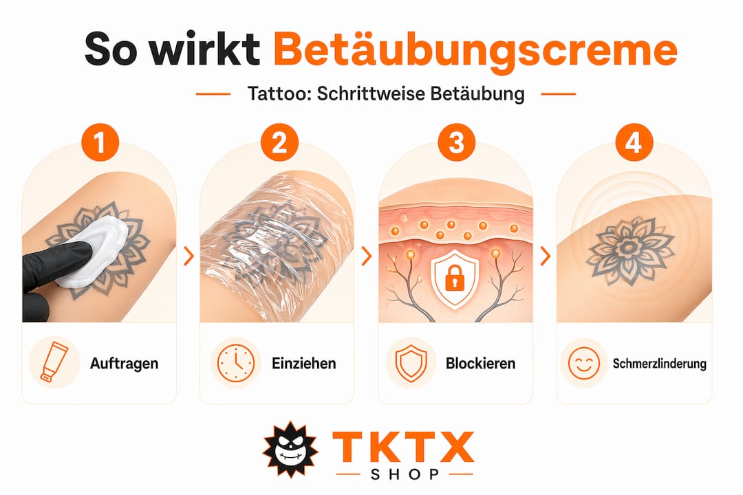Grafik: Ablauf und Wirkungsschritte einer Betäubungscreme