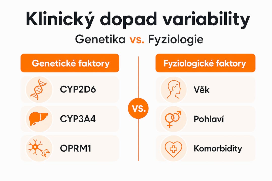Přehledná infografika ukazuje, jak se na variabilitě podílejí genetické a fyziologické faktory.
