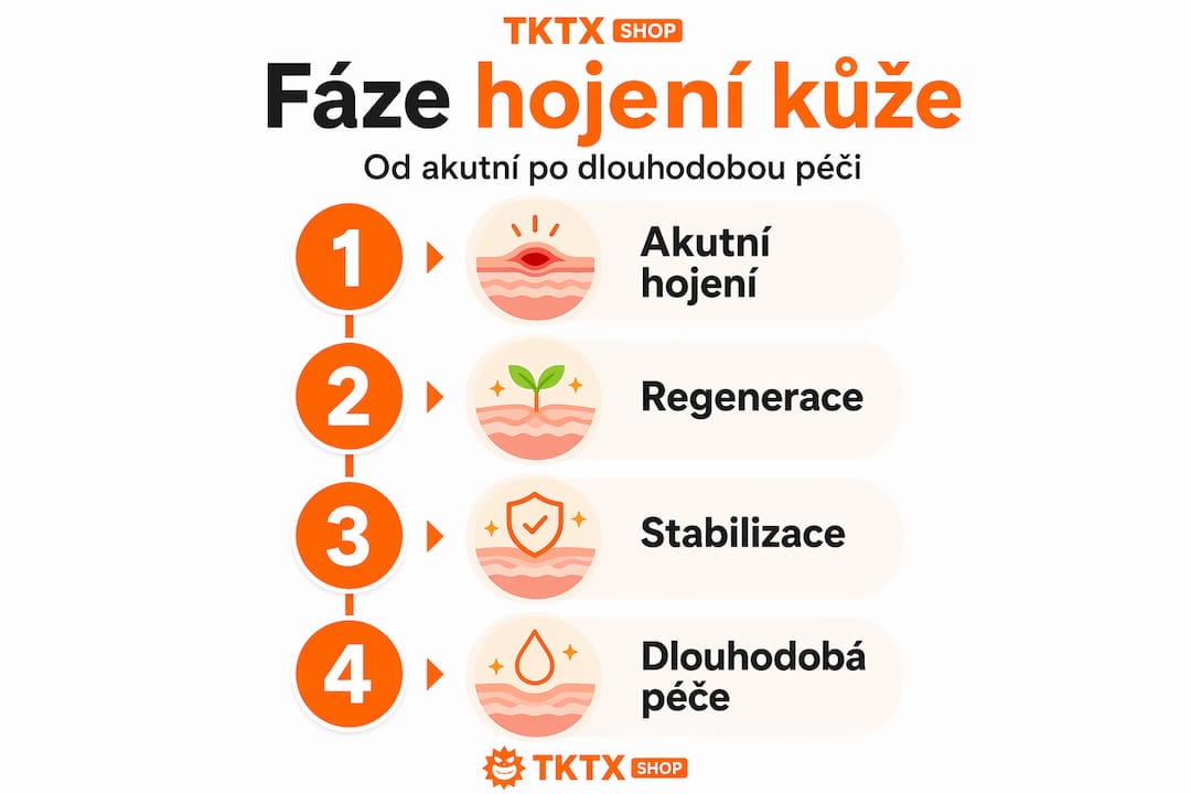 Infografika, která přehledně ukazuje čtyři hlavní fáze hojení pokožky