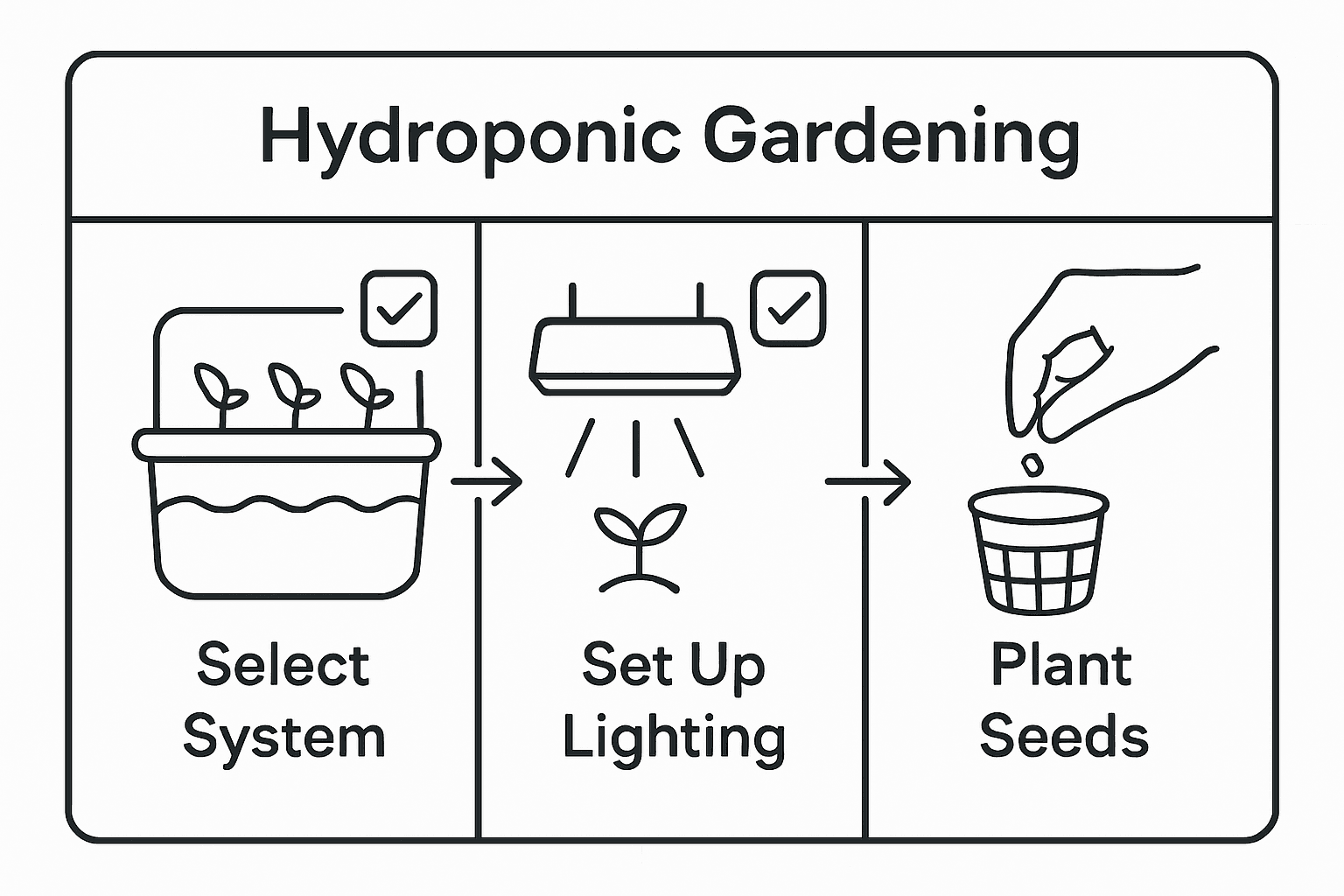 Step by Step Hydroponics Setup for Home Gardeners – AMAZING GARDEN