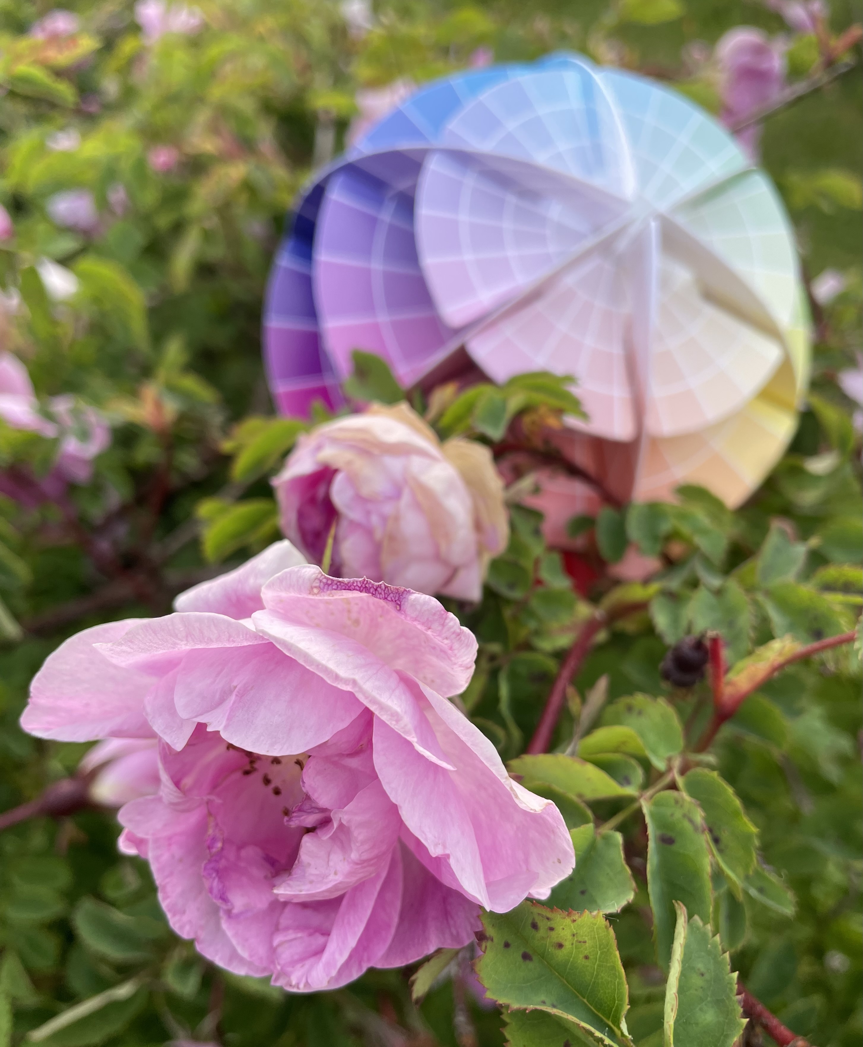 Infographic showing primary to tertiary colour wheel