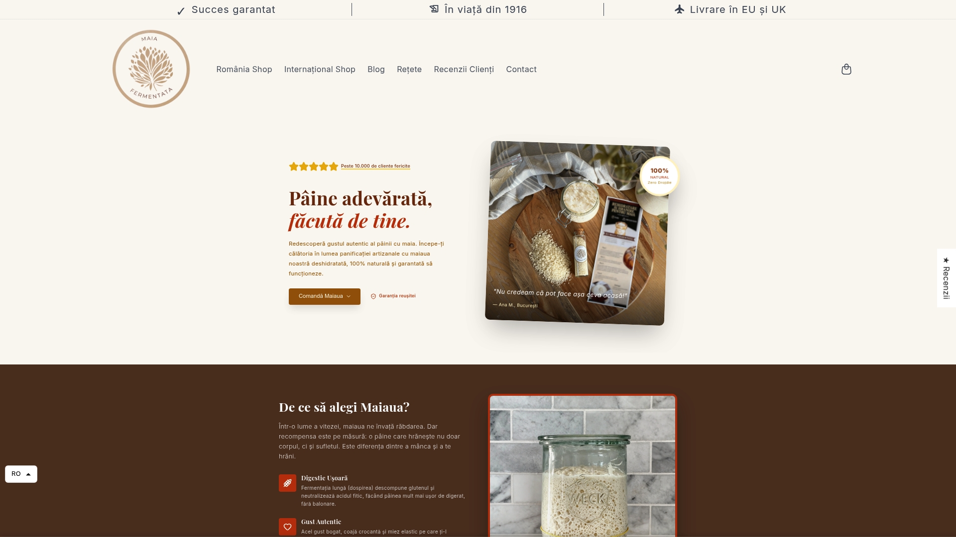 Starter de maia uscată tradițională Maia Fermentată din 1916, produs artizanal transilvănean pentru pâine cu gluten perfect dezvoltat