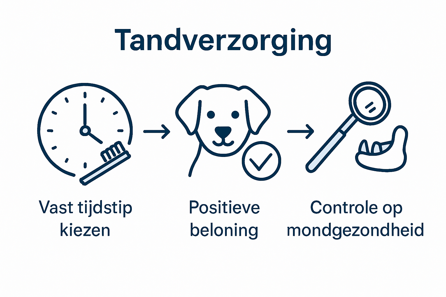 Vereenvoudigde gebitsroutine voor honden infographic