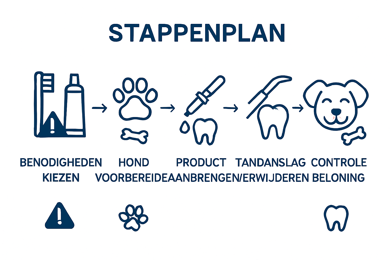 Vijf stappen om tandsteen bij je hond te verwijderen – overzichtelijke infographic