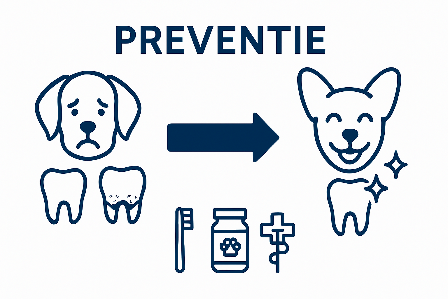 Infographic: het gebit van een hond vóór en na een goede gebitsverzorging in beeld