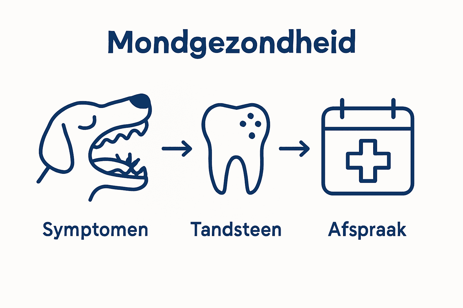 Infographic: Hoe herken je gebitsproblemen bij je hond?